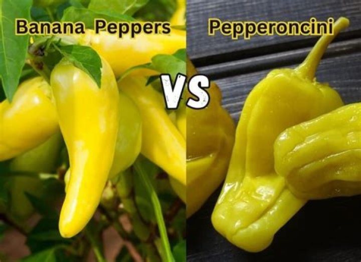 How hot are yellow banana peppers