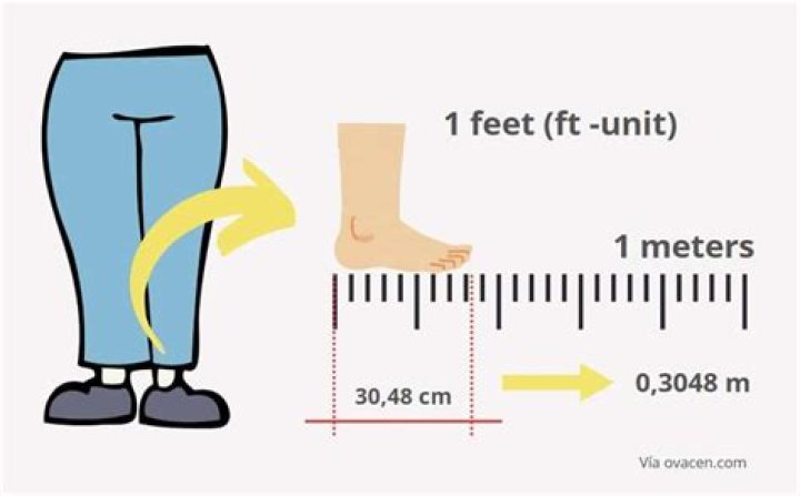 How Long Is A Ruler In Feet