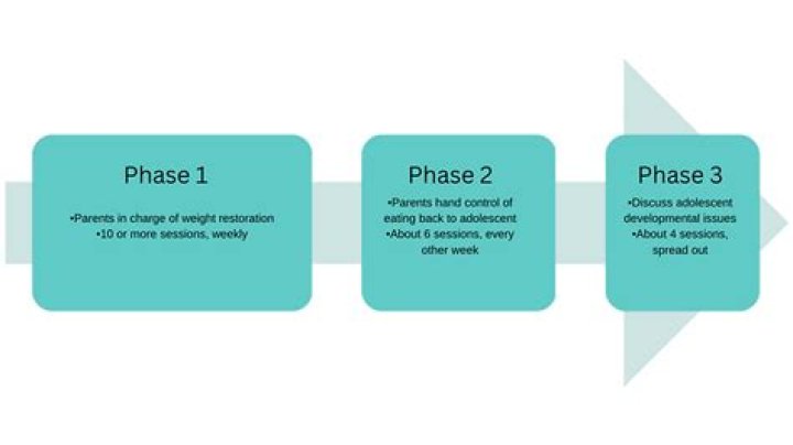How many phases are in the Maudsley approach