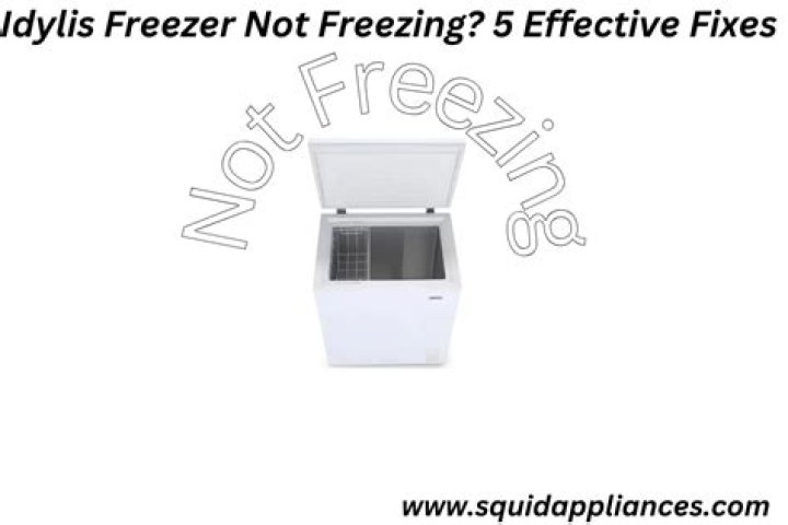 Idylis Freezer - How To Discuss