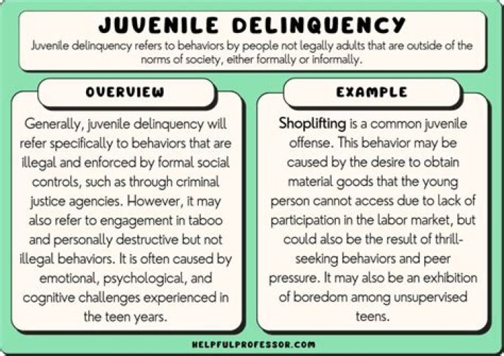 What are some examples of juvenile delinquency