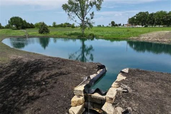 What can I plant in a pond dam