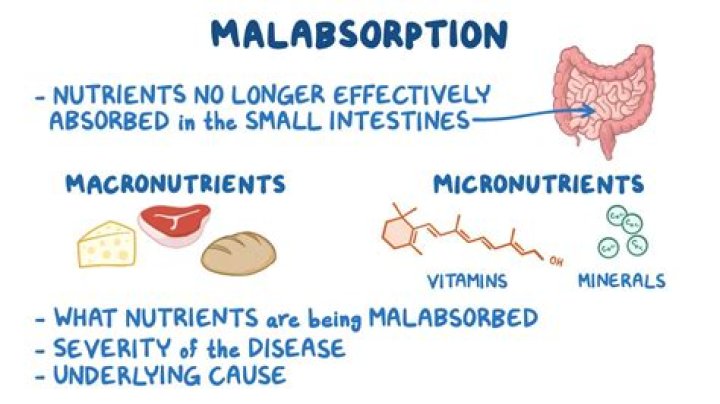 What causes malabsorption in infants