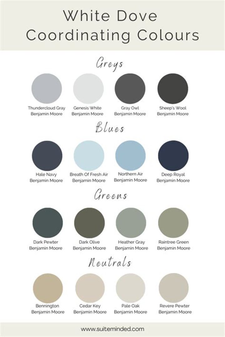 What Colour goes well with Dove GREY