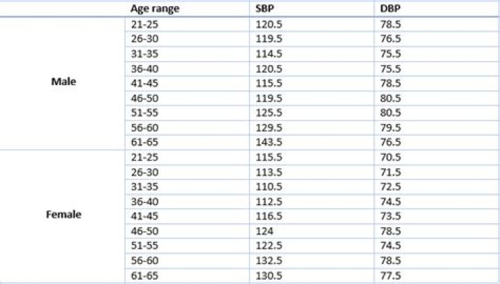 What happens to blood pressure during exercise
