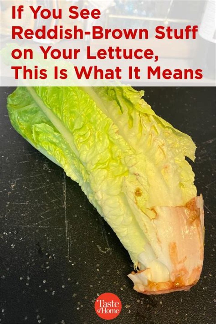 What is the brown stuff on lettuce