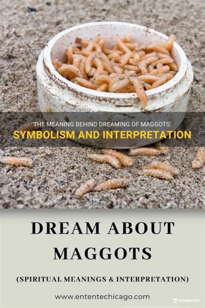 Why did I dream about maggots